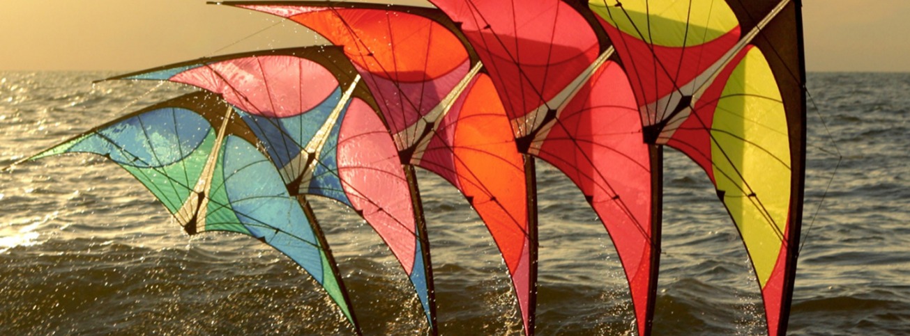Foto van Prism kites